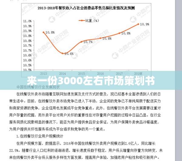 来一份3000左右市场策划书
