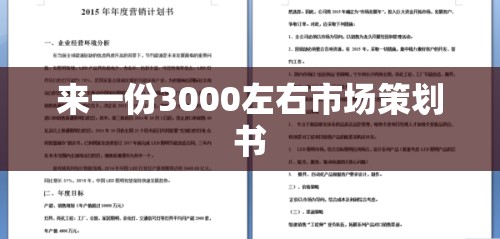 来一份3000左右市场策划书