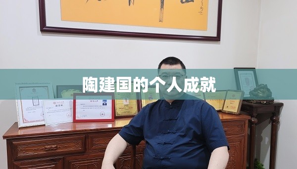 陶建国的个人成就 陶建国的个人成就