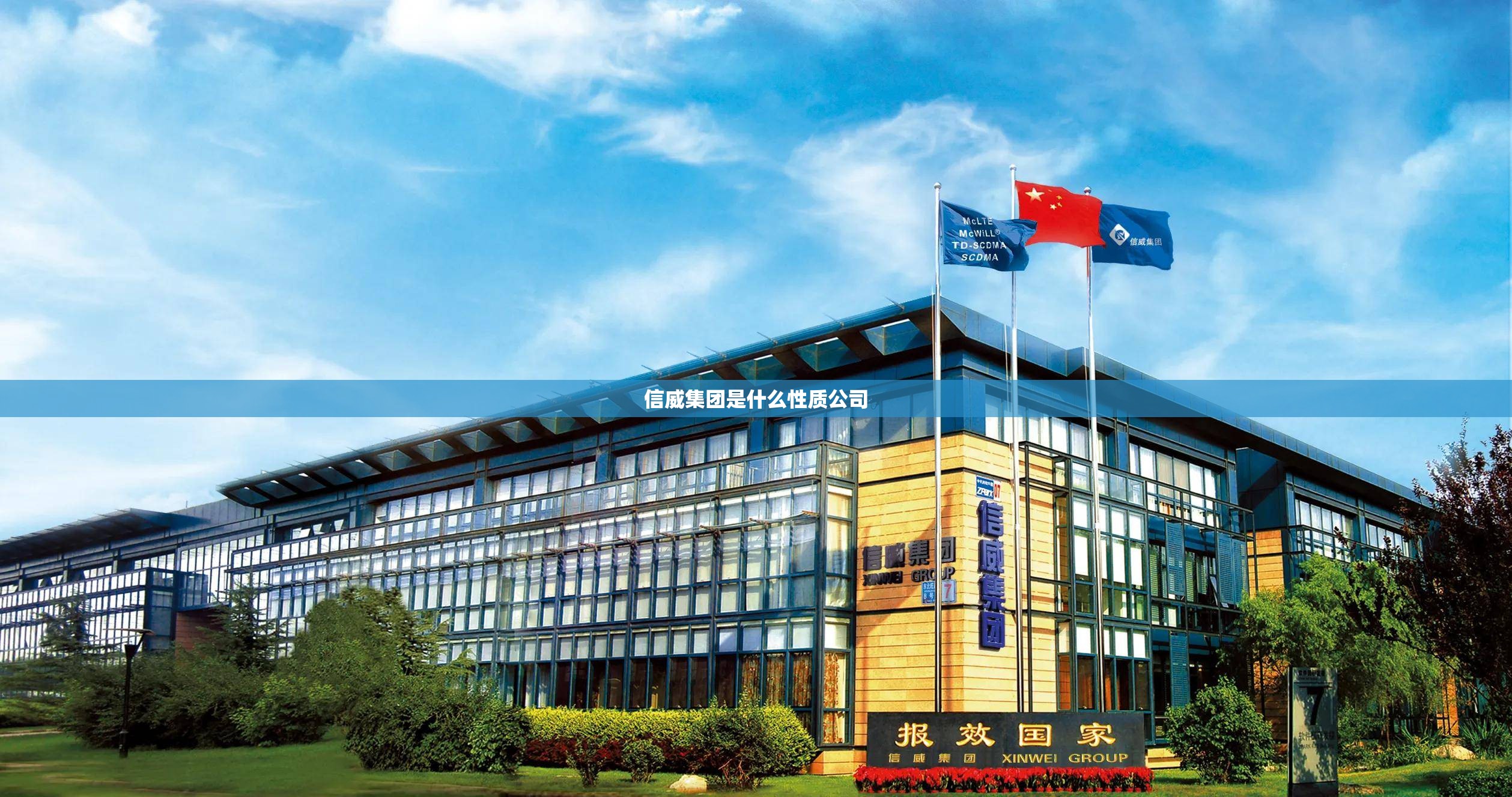 信威集团是什么性质公司