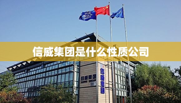 信威集团是什么性质公司