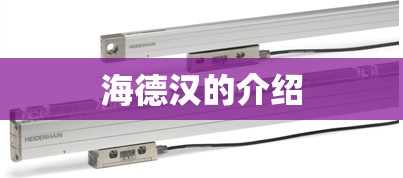 c5备案后正常人可以驾驶吗