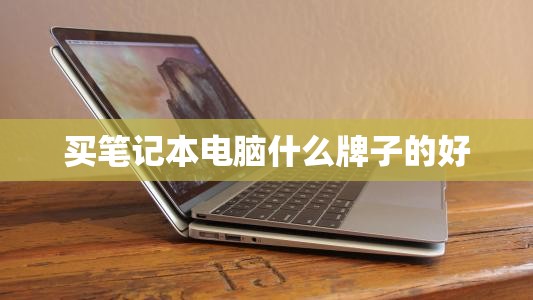 买笔记本电脑什么牌子的好 买笔记本电脑什么牌子的好