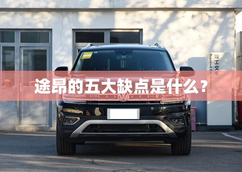 途昂的五大缺点是什么？