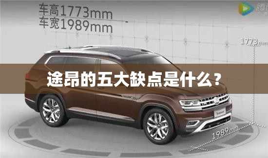 途昂的五大缺点是什么？