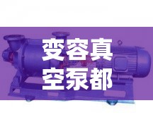 为什么电脑能进PE但是正常启动却读不到硬盘