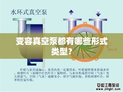 变容真空泵都有哪些形式类型? 变容真空泵都有哪些形式类型?