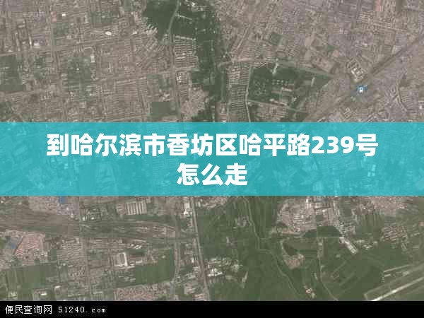 到哈尔滨市香坊区哈平路239号怎么走